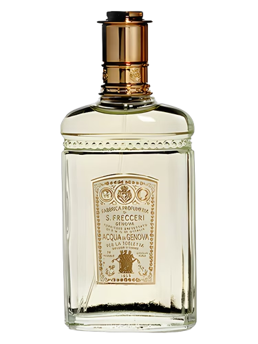 1853 Lady