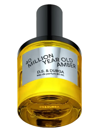 40 Million Year Old Amber