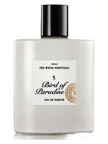5 Bird Of Paradise