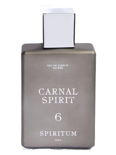 6 Carnal Spirit