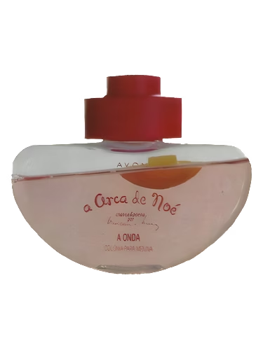 A Arca de Noé A Onda