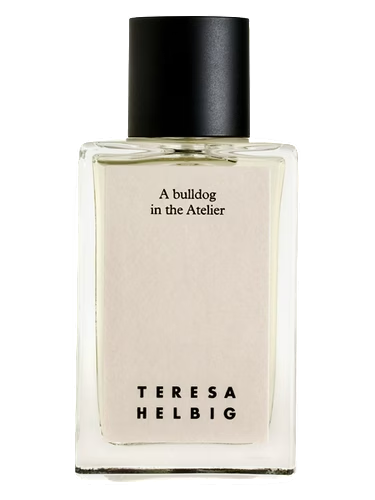 A Bulldog in the Atelier