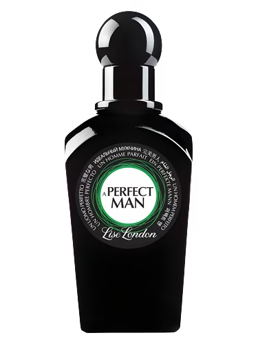 A Perfect Man