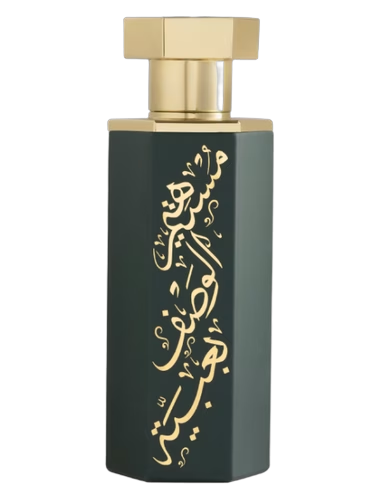 Abaya Arabs