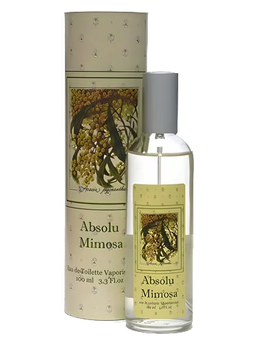 Absolu Mimosa