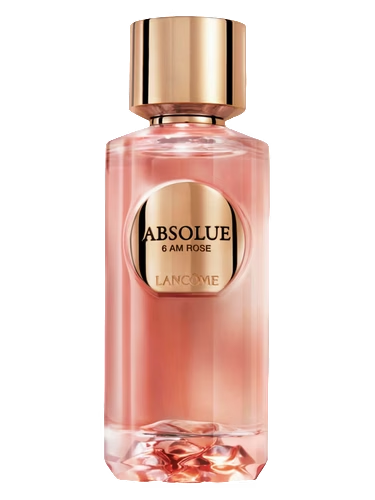 Absolue 6AM Rose