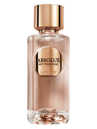 Absolue Not Your Rose