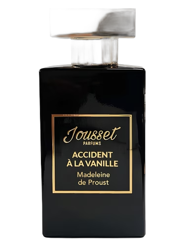 Accident À La Vanille - Madeleine de Proust