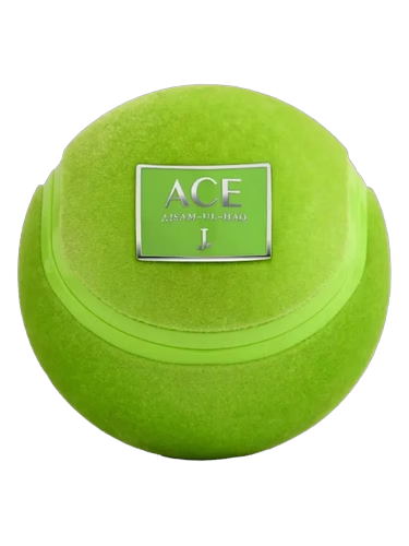 Ace Aisam Ul Haq