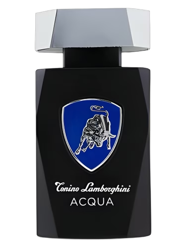 Acqua