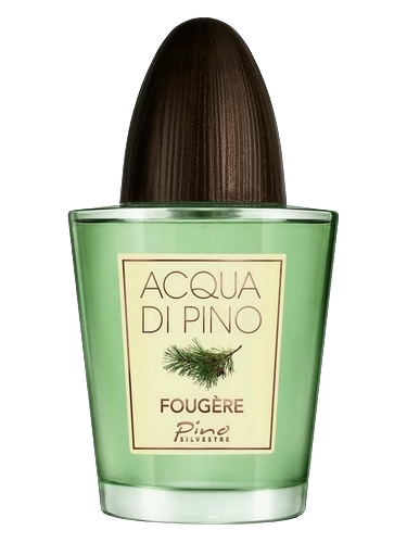 Acqua di Pino Fougere