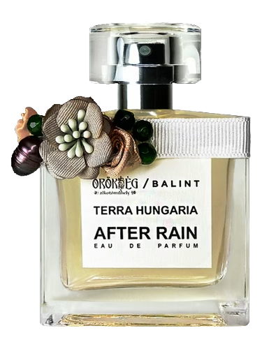 After Rain