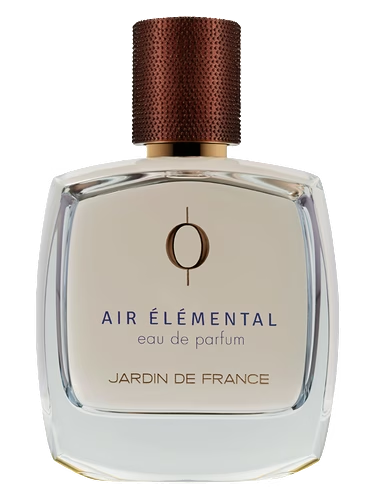 Air Elemental