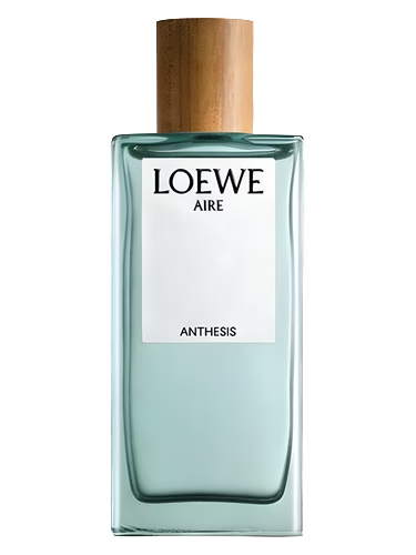 Aire Anthesis