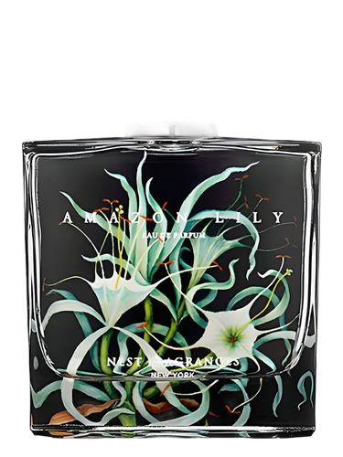 Amazon Lily