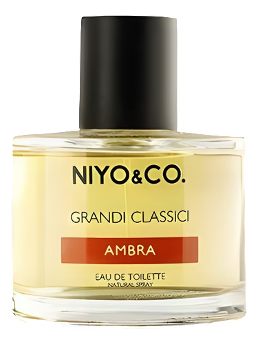 Ambra