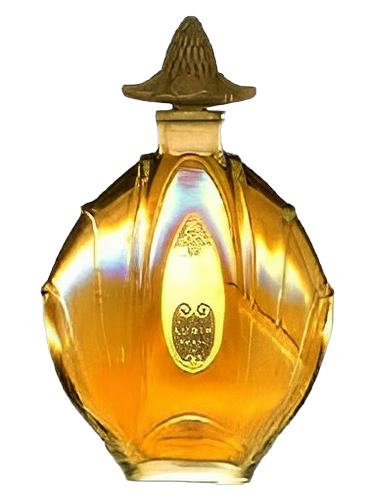 Ambre