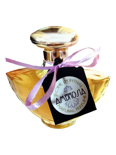 Ambrosia