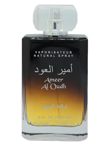 Ameer Al Oudh