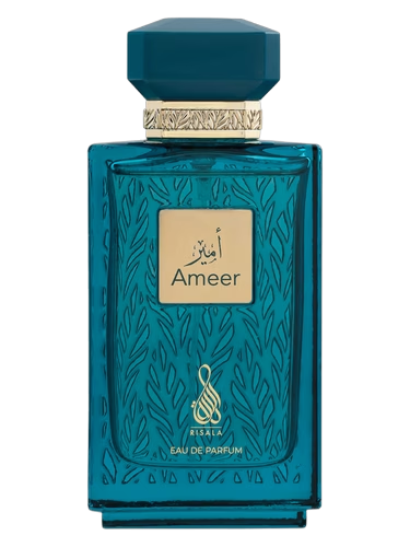 Ameer