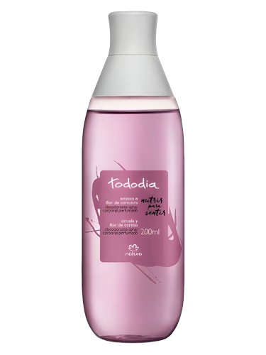 Ameixa e Flor de Cerejeira