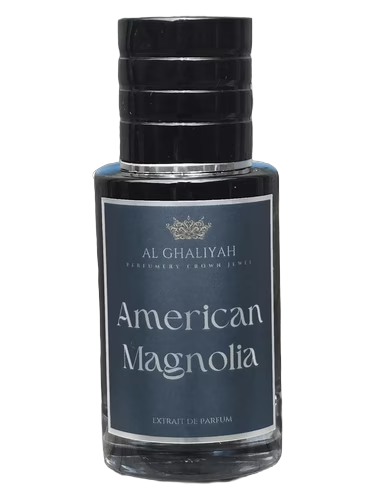 American Magnolia