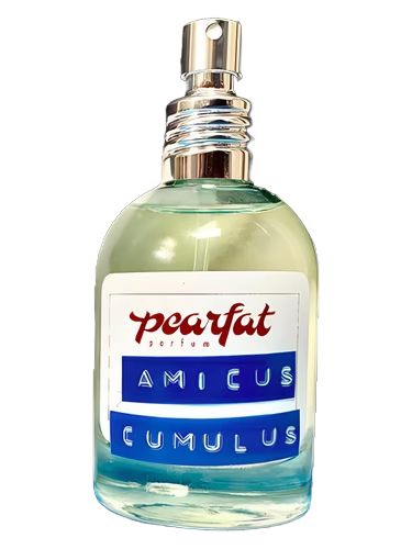 Amicus Cumulus