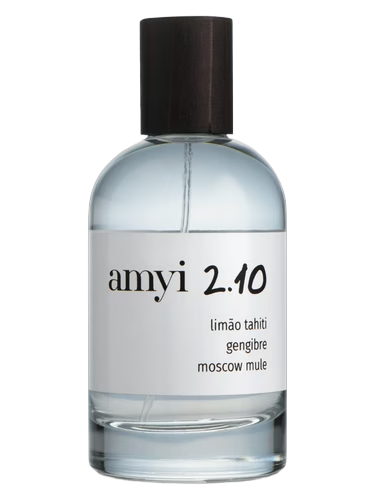 Amyi 2.10