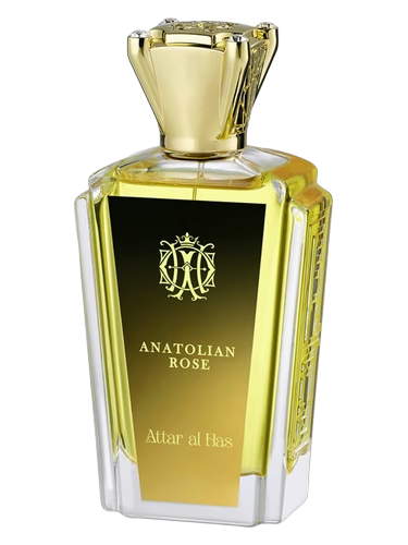 Anatolian Rose