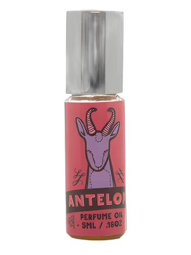 Antelope