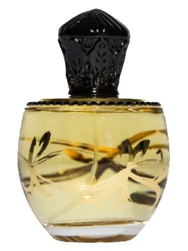 Aoud Black IV
