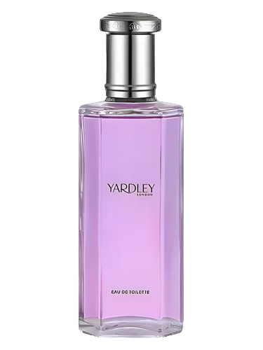 April Violets Contemporary Edition