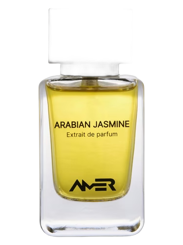 Arabian Jasmine