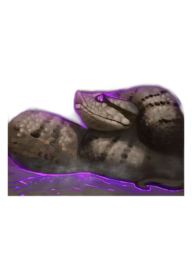 Asp Viper