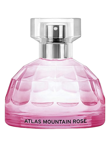 Atlas Mountain Rose