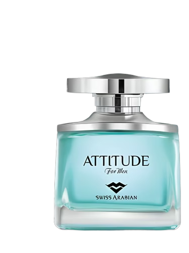 Attitude for Men