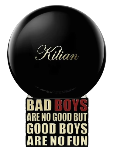 Bad Boys Are No Good But Good Boys Are No Fun