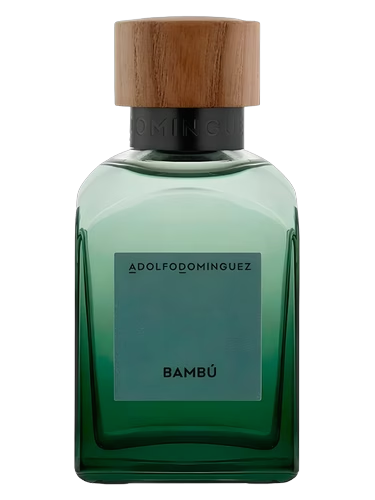 Bambú 2024