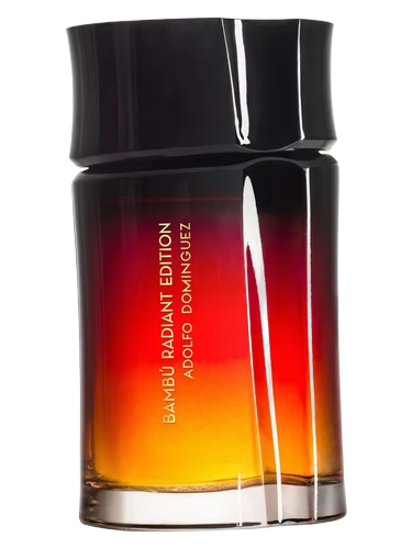 Bambú Radiant Edition Hombre