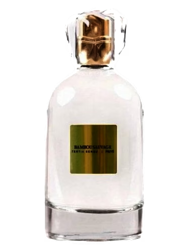 Bambou Sauvage
