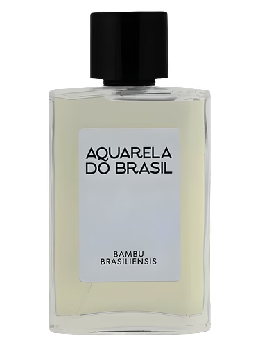 Bambu Brasiliensis