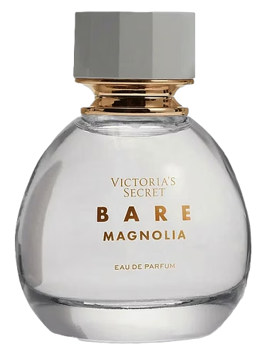 Bare Magnolia