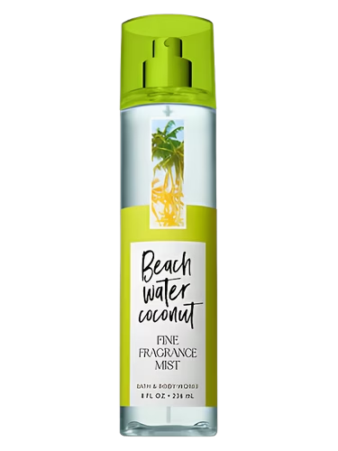 Beach Water Coconut