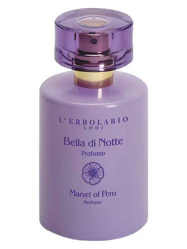 Bella di Notte (Marvel of Peru)