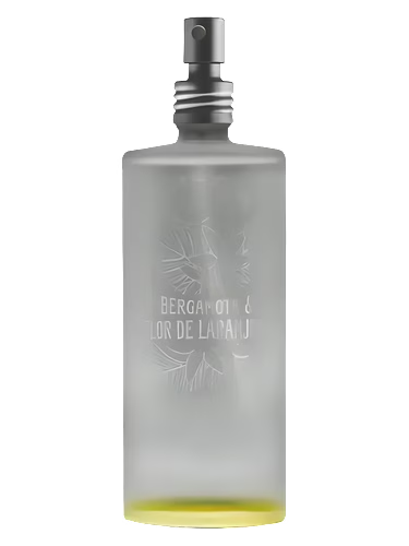 Bergamota & Flor de Laranjeira