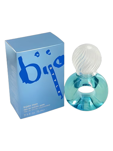 Bijan Style Men