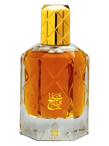 Bin Shaikh