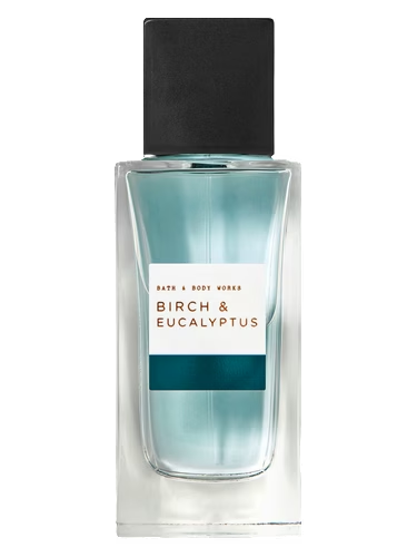 Birch & Eucalyptus