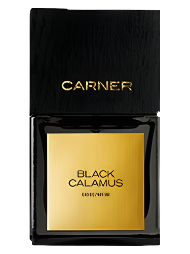 Black Calamus