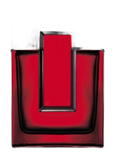 Black Essential Hot